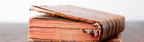 how to get the musty smell out of books and why we should care about preserving our literary heritage