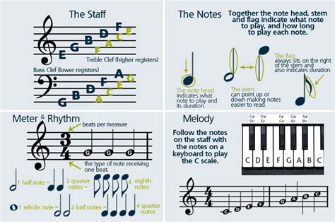 how to study music theory and why understanding the history of musical notation matters